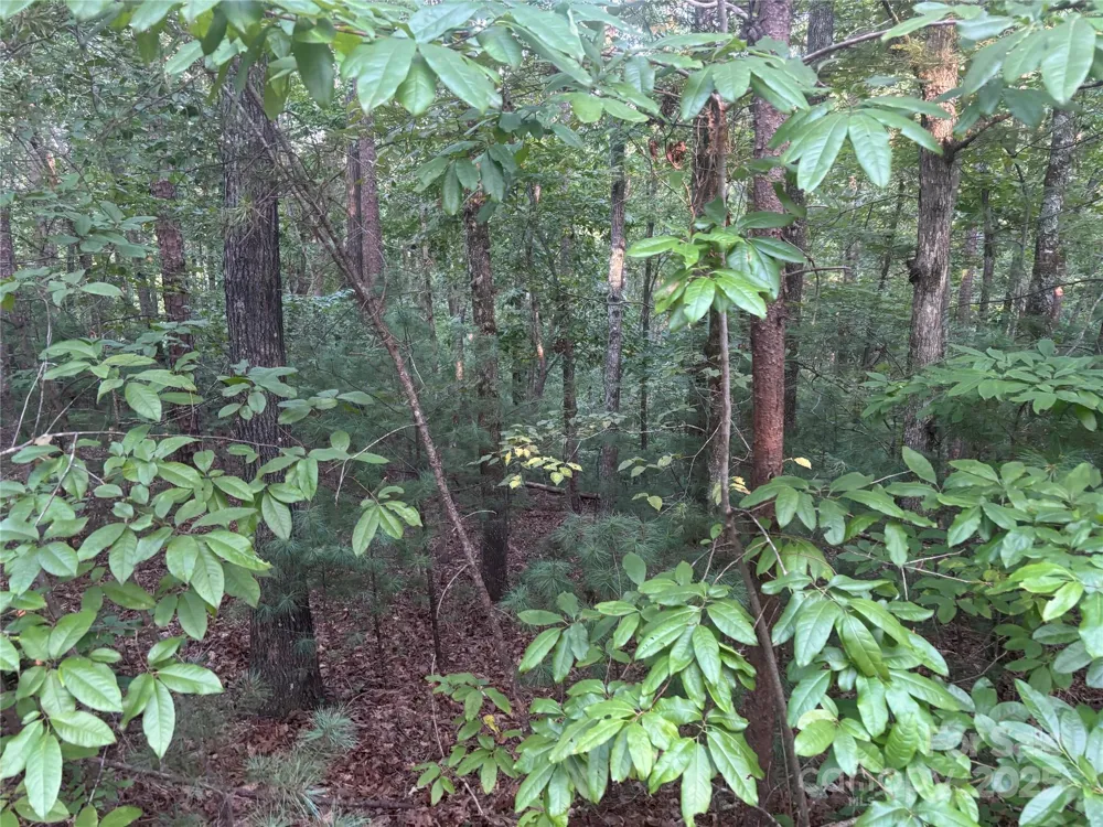 lots 11/12 South Pointe Road Mill Spring, NC 28756