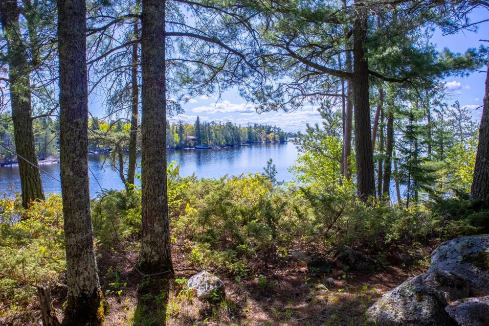 2715 Roberts Island International Falls, MN 56649