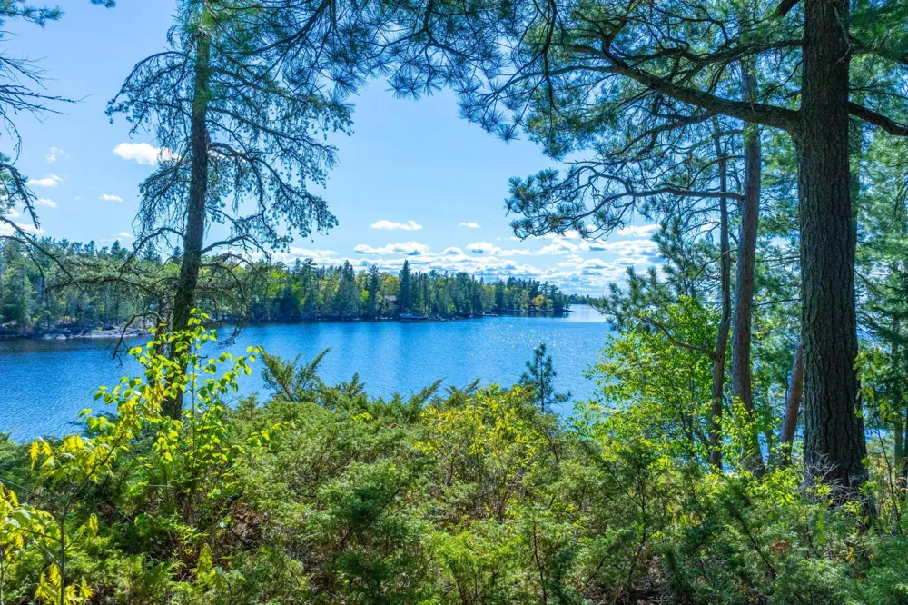 2715 Roberts Island International Falls, MN 56649