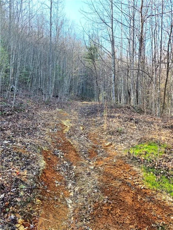TBD Eagle Hills Road #Eagle Hills Purlear, NC 28665