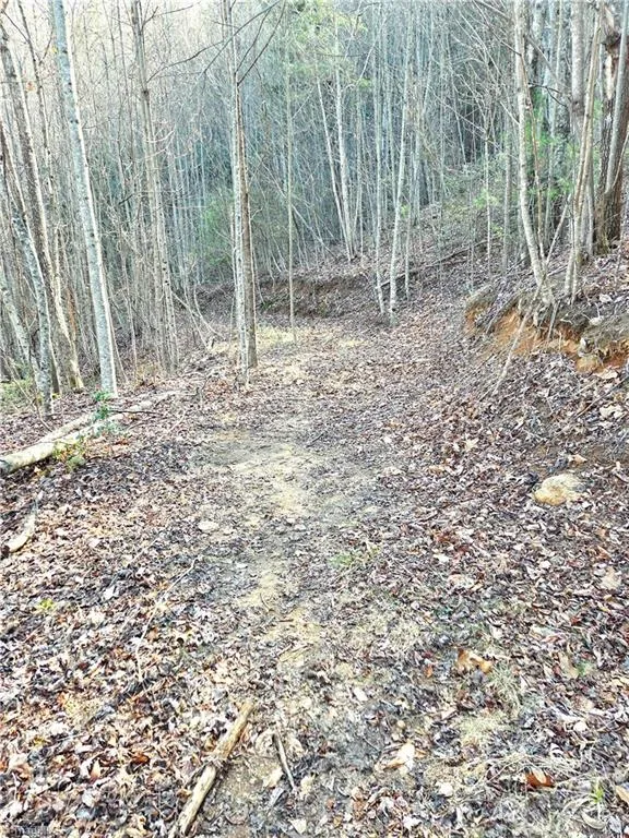 TBD Eagle Hills Road #Eagle Hills Purlear, NC 28665