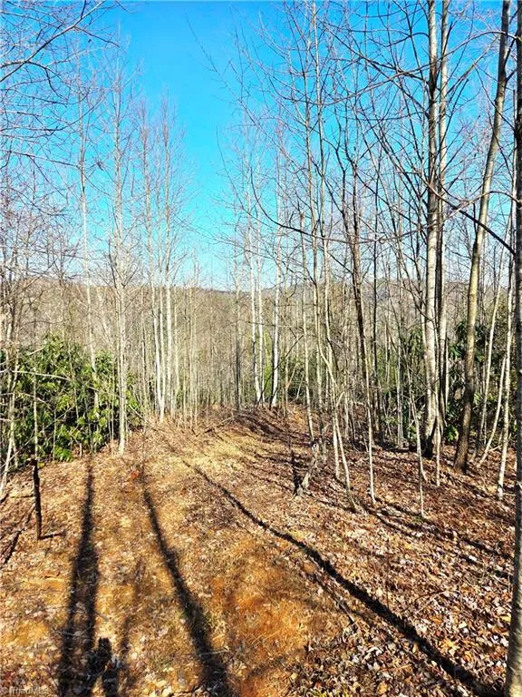 TBD Eagle Hills Road #Eagle Hills Purlear, NC 28665