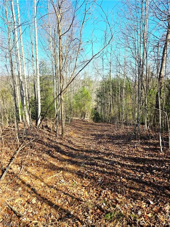 TBD Eagle Hills Road #Eagle Hills Purlear, NC 28665