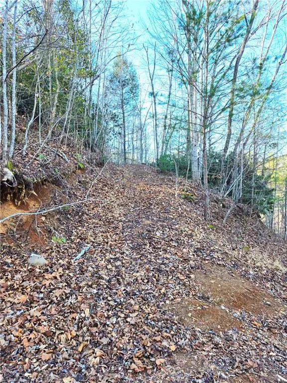 TBD Eagle Hills Road #Eagle Hills Purlear, NC 28665