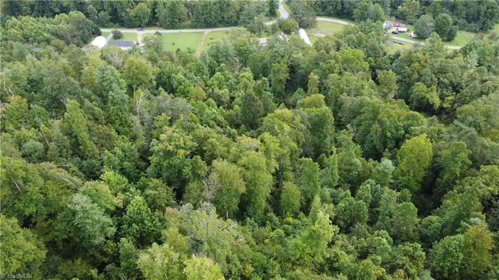 TBD Eagle Hills Road #Eagle Hills Purlear, NC 28665