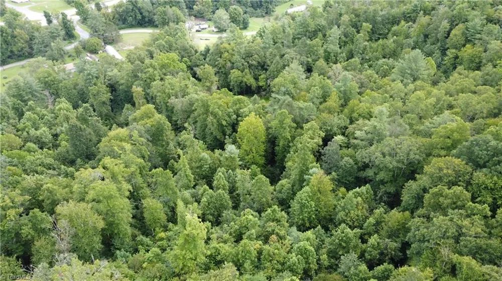 TBD Eagle Hills Road #Eagle Hills Purlear, NC 28665