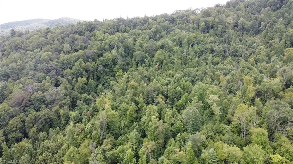 TBD Eagle Hills Road #Eagle Hills Purlear, NC 28665