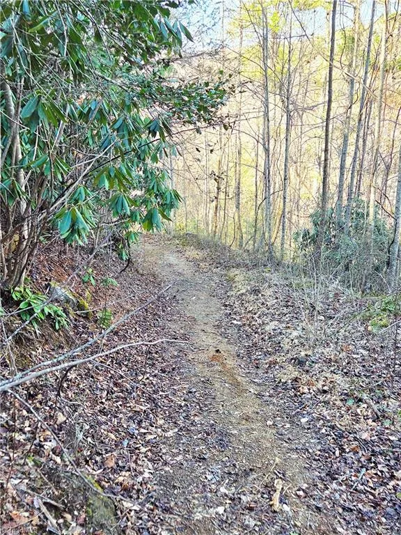 TBD Eagle Hills Road #Eagle Hills Purlear, NC 28665