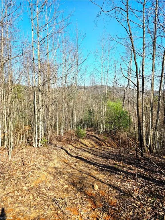 TBD Eagle Hills Road #Eagle Hills Purlear, NC 28665