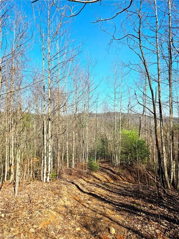 TBD Eagle Hills Road #Eagle Hills Purlear, NC 28665