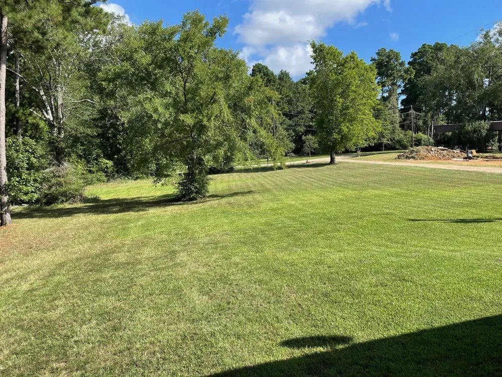 160 Lookout Point Drive Grapeland, TX 75844