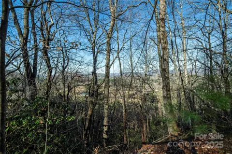 TBD Three Mile Knob Road #L2