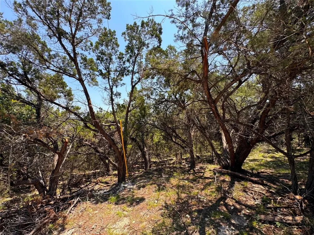 557 Dusty Saddle Canyon Lake, TX 78133