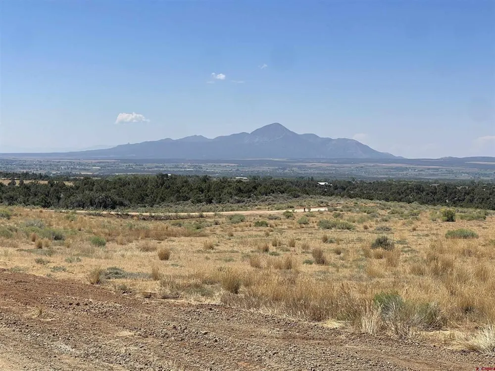 7 Road 25 Dolores, CO 81323