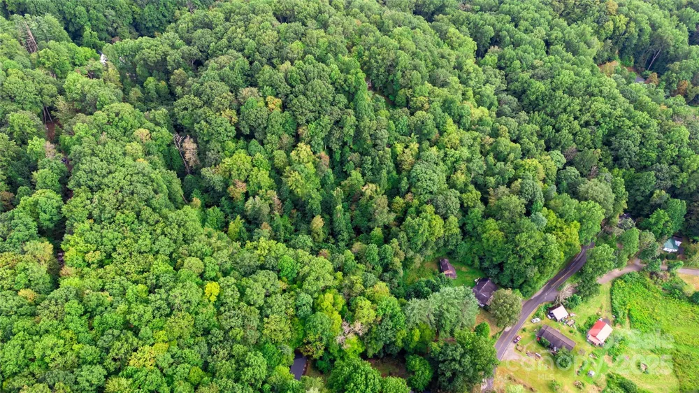0000 Cabin Flats Road Balsam, NC 28707