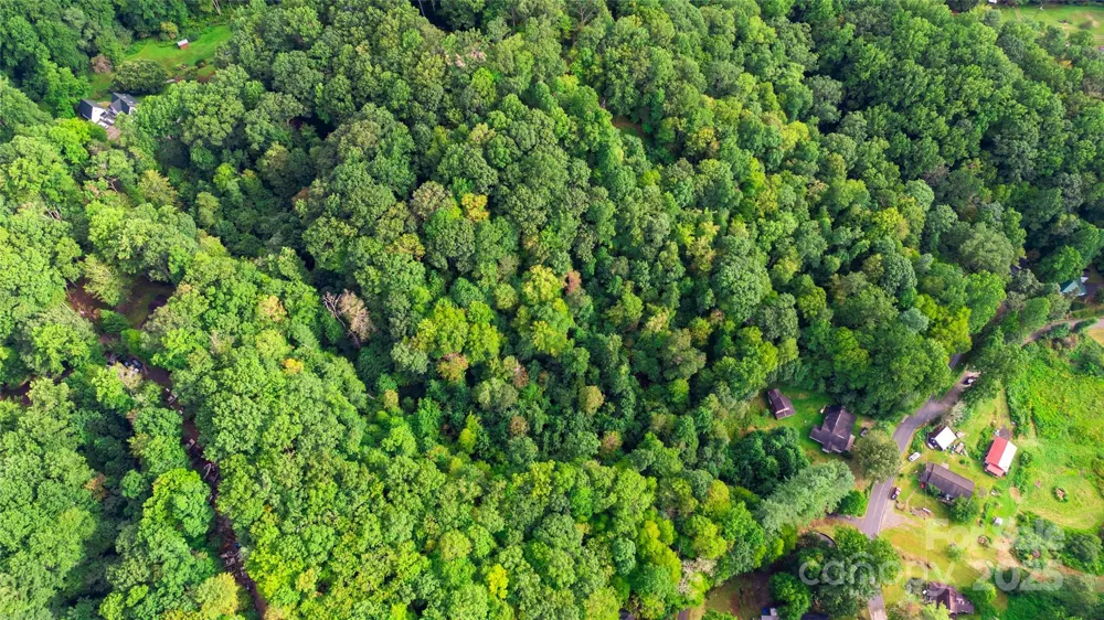 0000 Cabin Flats Road Balsam, NC 28707
