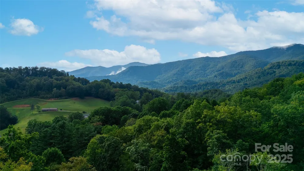 0000 Cabin Flats Road Balsam, NC 28707