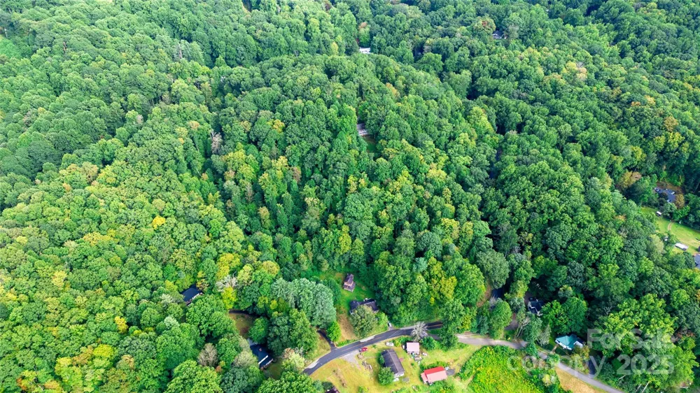 0000 Cabin Flats Road Balsam, NC 28707