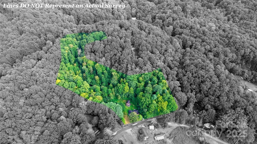 0000 Cabin Flats Road Balsam, NC 28707