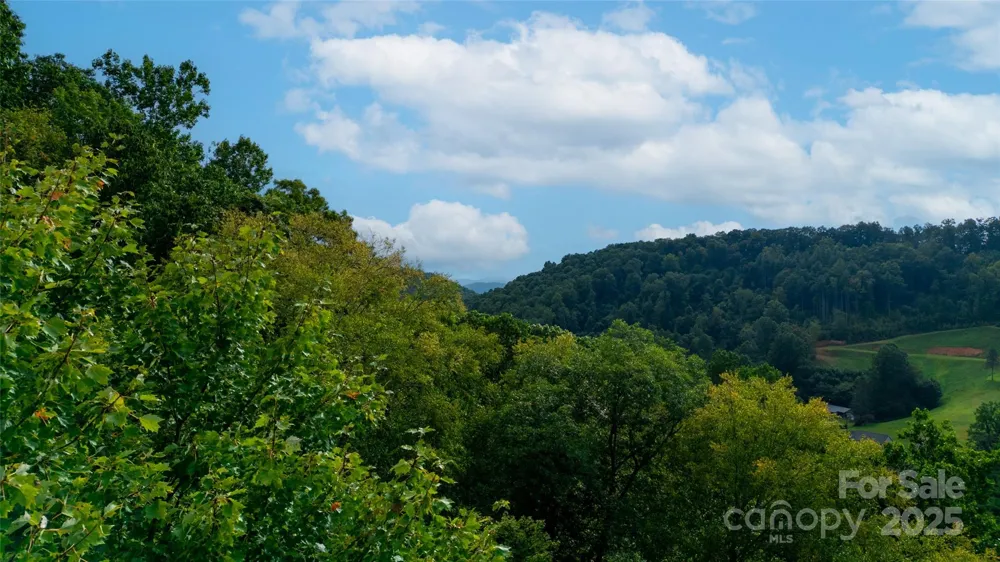 0000 Cabin Flats Road Balsam, NC 28707