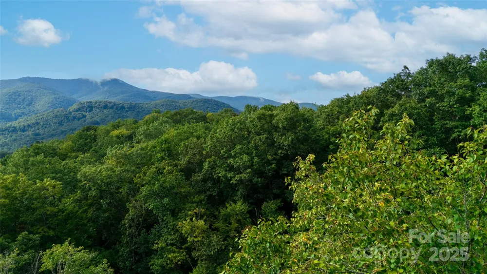 0000 Cabin Flats Road Balsam, NC 28707