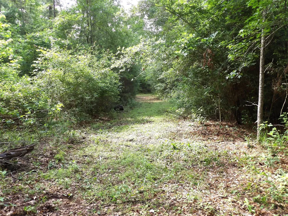 Fsr 536 Kennard, TX 75847