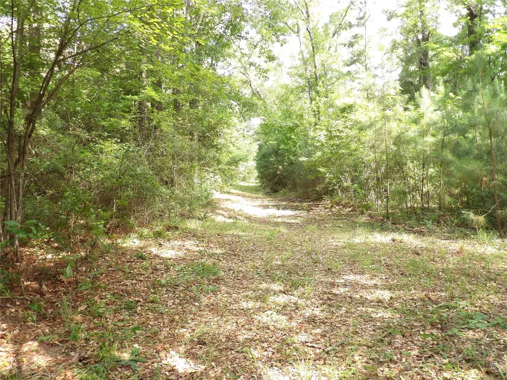 Fsr 536 Kennard, TX 75847