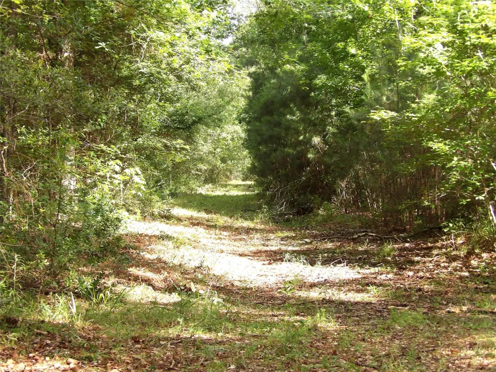 Fsr 536 Kennard, TX 75847