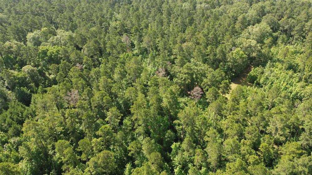 Fsr 536 Kennard, TX 75847