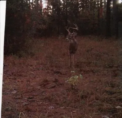 Fsr 536 Kennard, TX 75847
