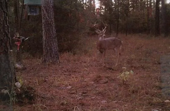 Fsr 536 Kennard, TX 75847