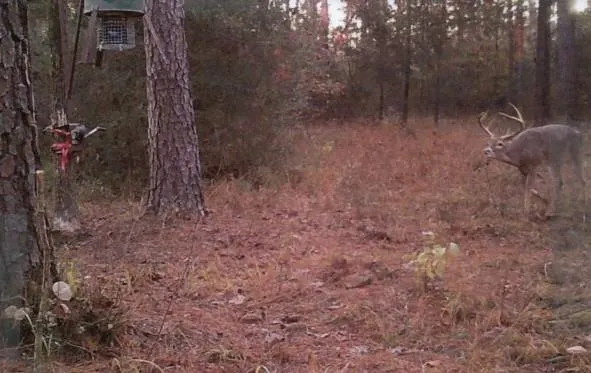 Fsr 536 Kennard, TX 75847