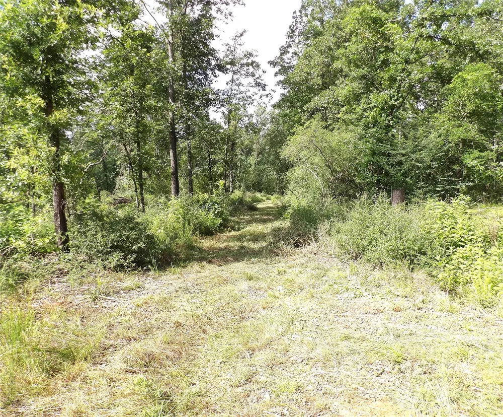 Fsr 536 Kennard, TX 75847