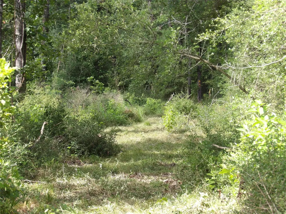 Fsr 536 Kennard, TX 75847