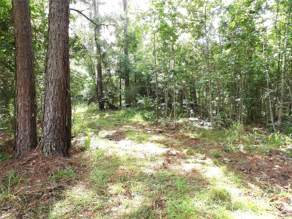 Fsr 536 Kennard, TX 75847