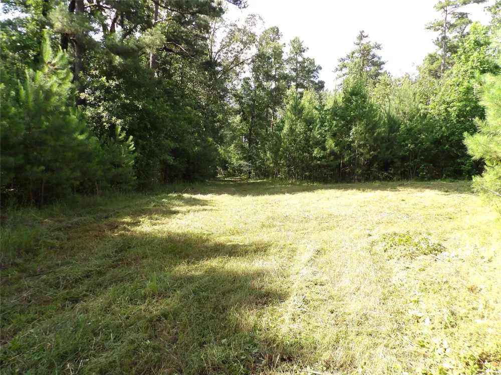 Fsr 536 Kennard, TX 75847
