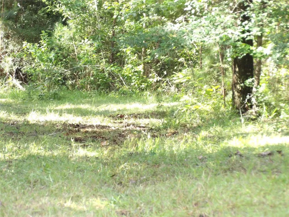 Fsr 536 Kennard, TX 75847
