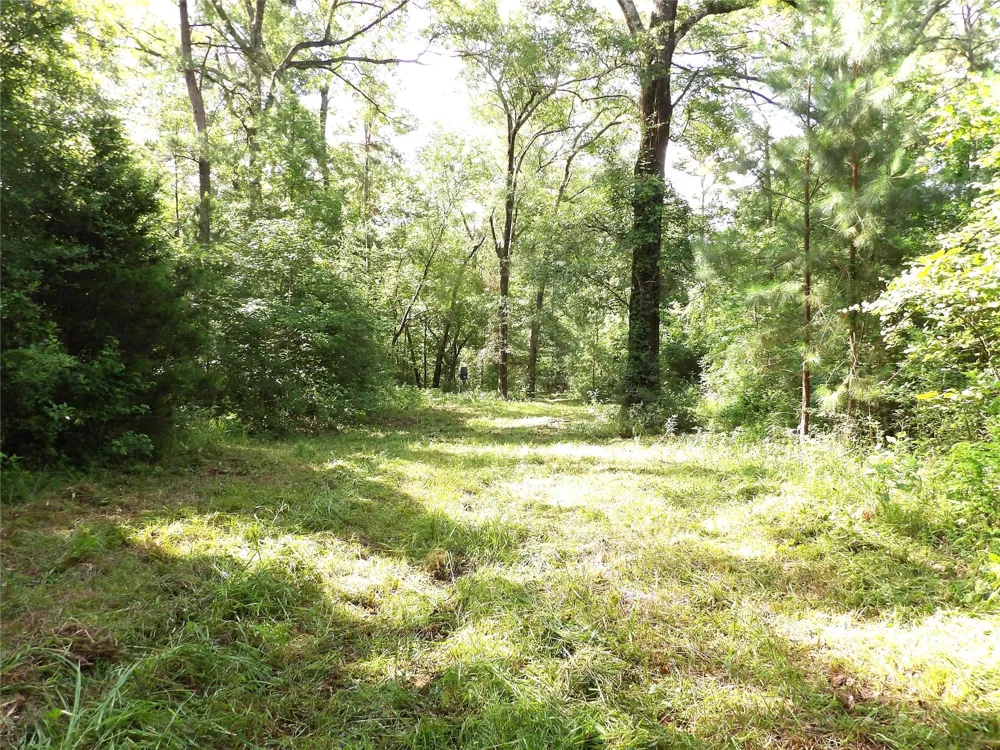 Fsr 536 Kennard, TX 75847