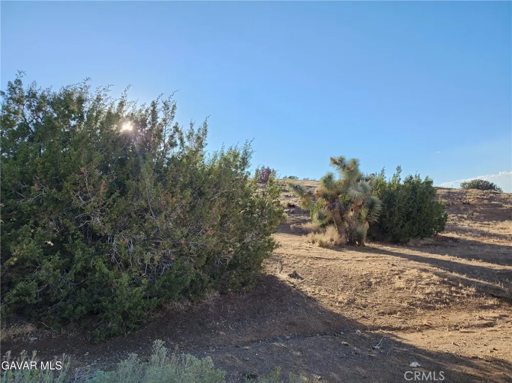 Vac/Vic Ave L8/55th Street E Lake Hughes, CA 93532