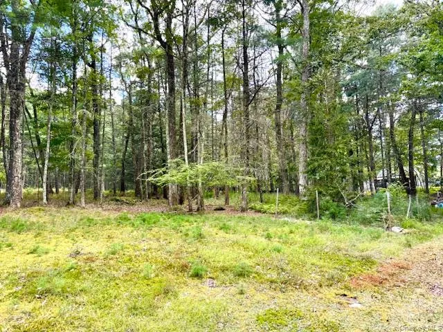 8 Anna Drive Glen Spey, NY 12737