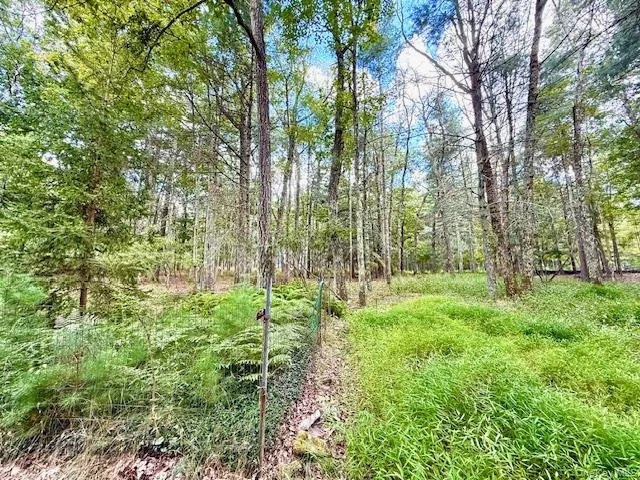 8 Anna Drive Glen Spey, NY 12737