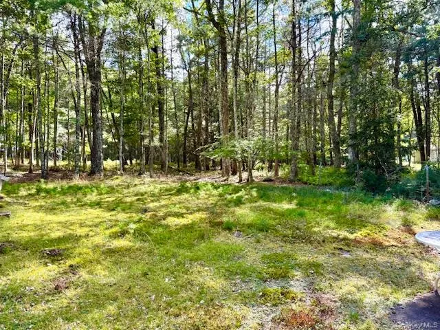 8 Anna Drive Glen Spey, NY 12737