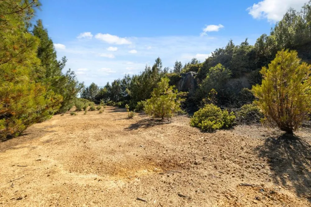 Summit Road Los Gatos, CA 95033