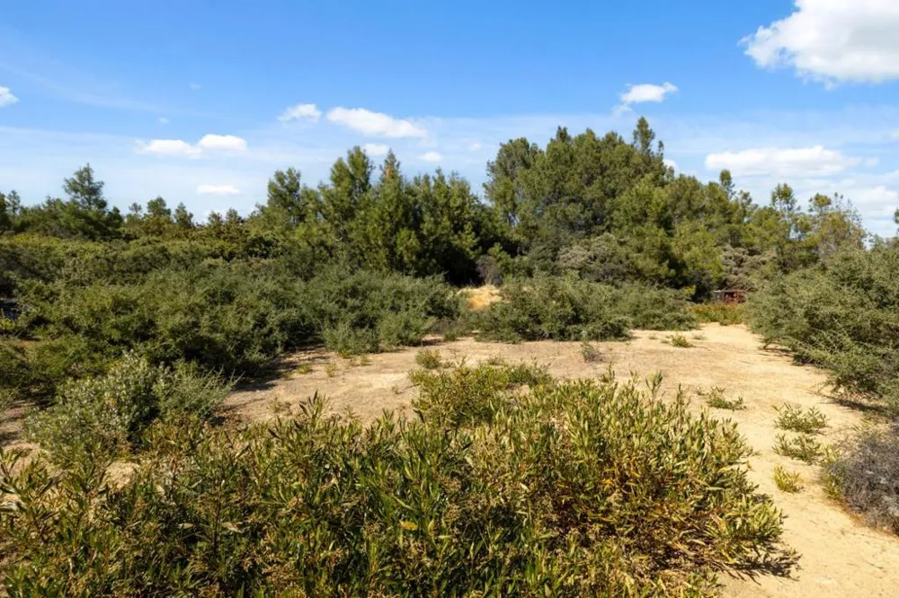 Summit Road Los Gatos, CA 95033