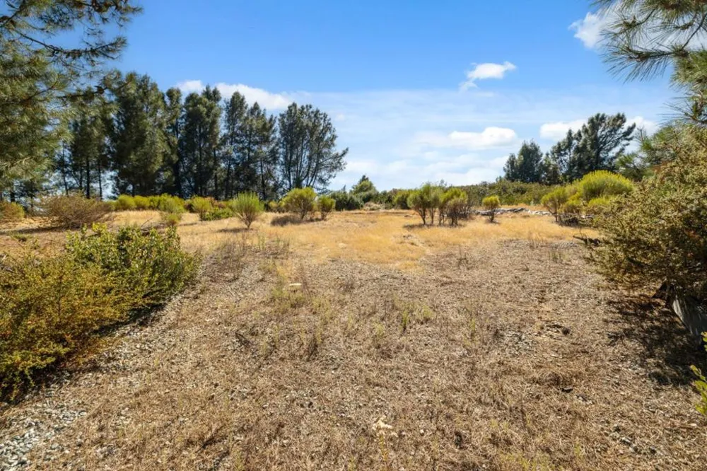 Summit Road Los Gatos, CA 95033