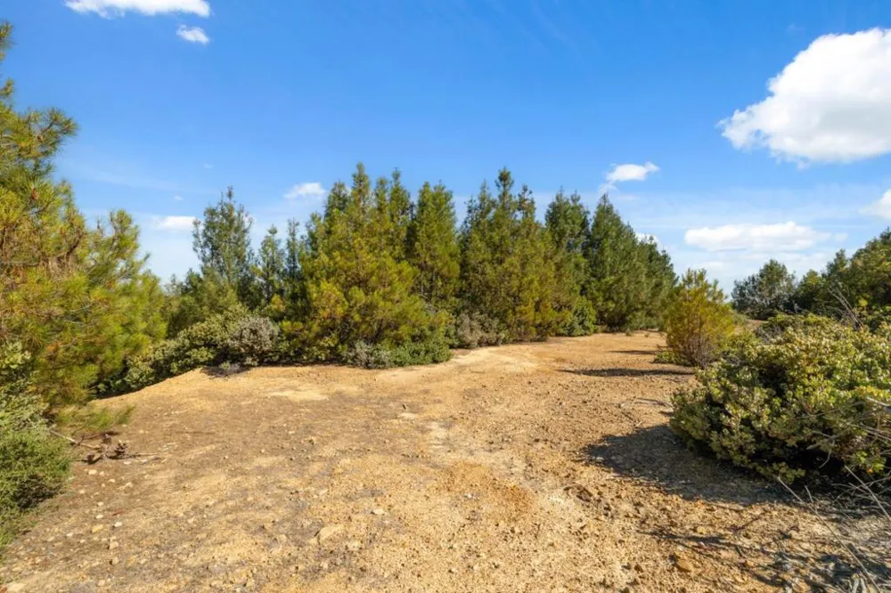 Summit Road Los Gatos, CA 95033