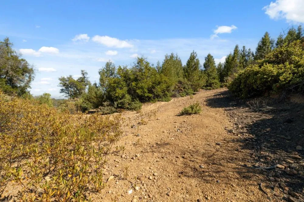 Summit Road Los Gatos, CA 95033