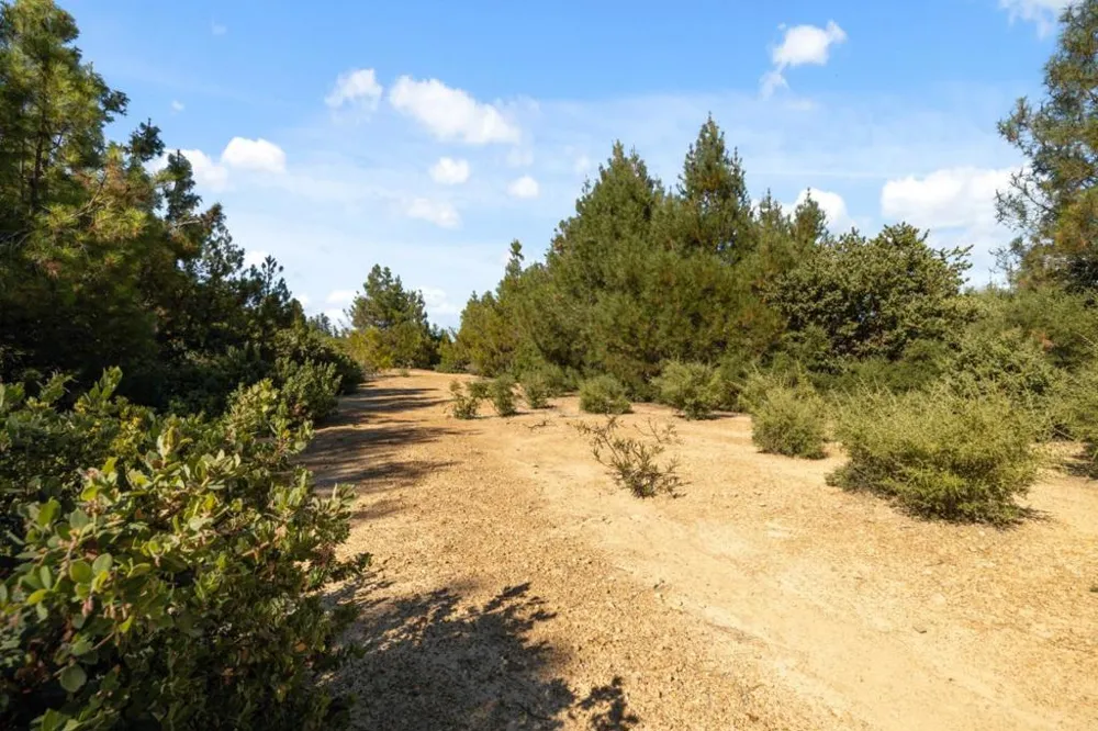 Summit Road Los Gatos, CA 95033