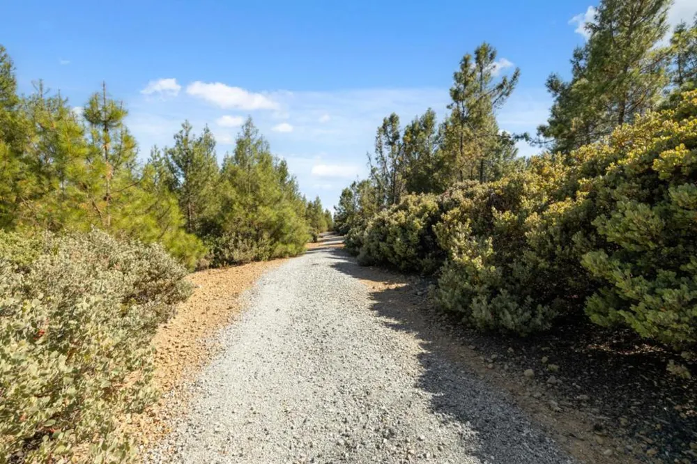 Summit Road Los Gatos, CA 95033