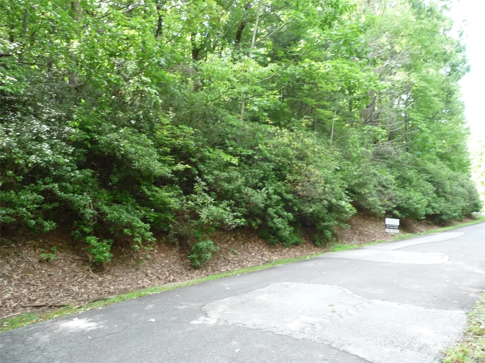 Lot 70 Serpentine Drive #Lot 70 Columbus, NC 28722